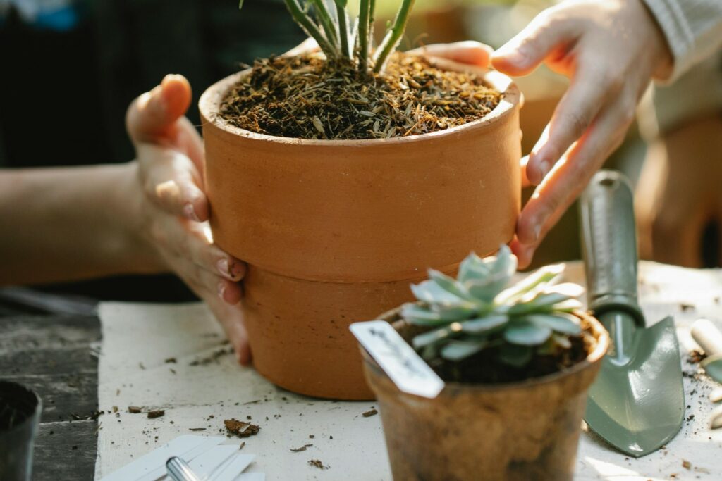 Deux personnes jardinent ensemble